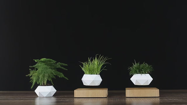 Levitating Air Bonsai Pot Rotation Flower Pot